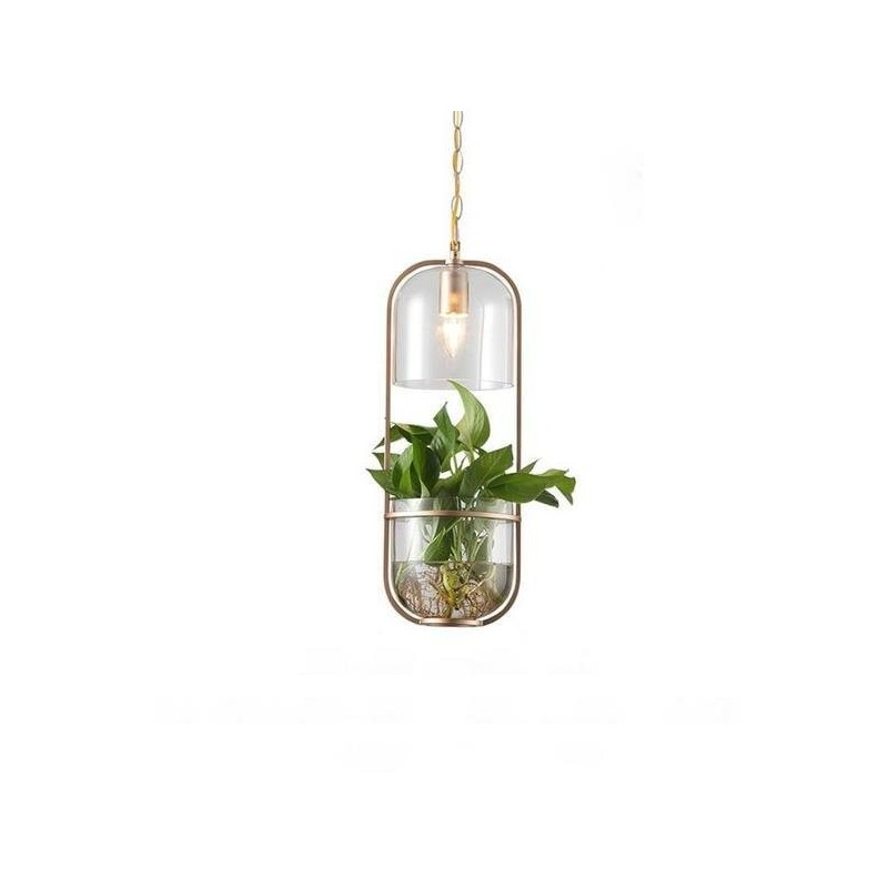 Water Plants Glass Pendant Light Plant, Hanging Plant Light Fixture